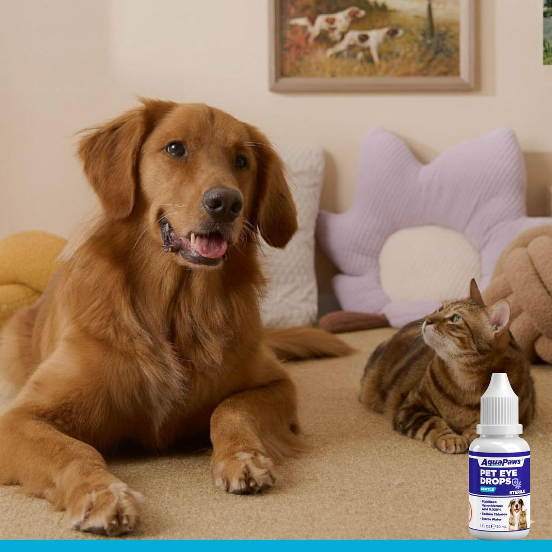 Dog Eye Drops and cat Eye Drops