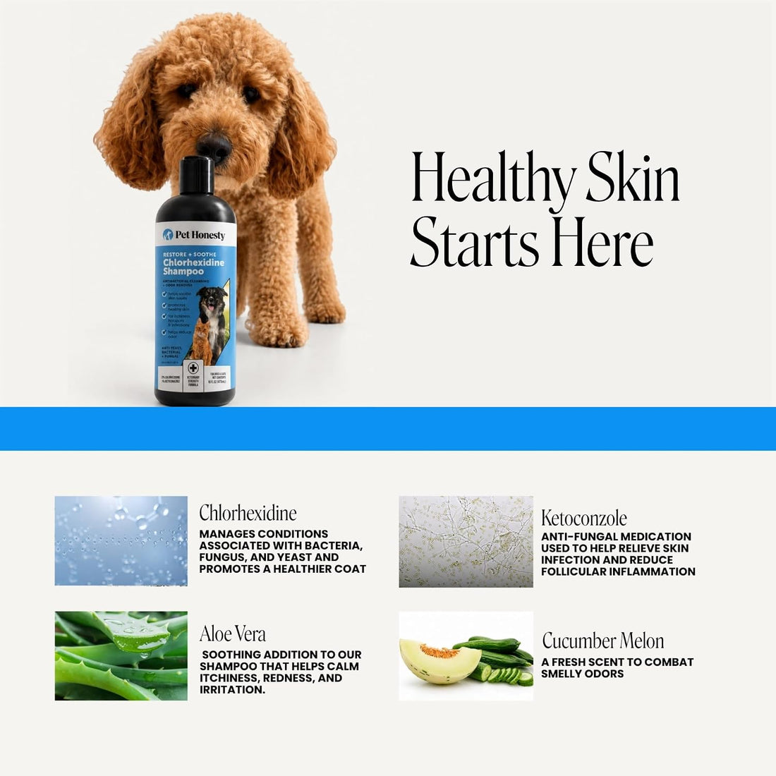 Pet Honesty Dog & Cat Shampoo