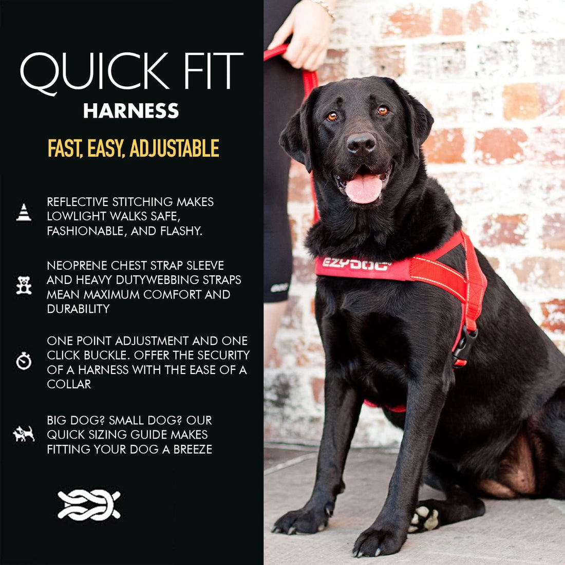 EzyDog Quick Fit Dog Harness, Soft Neoprene Padding - Medium, Black