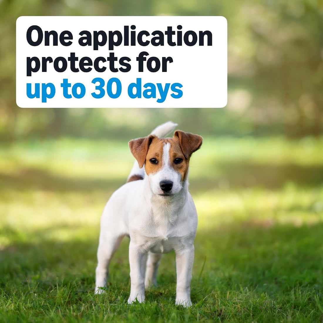 Flea, Tick & Mosquito Topical Treatment & Prevention for Medium Dogs