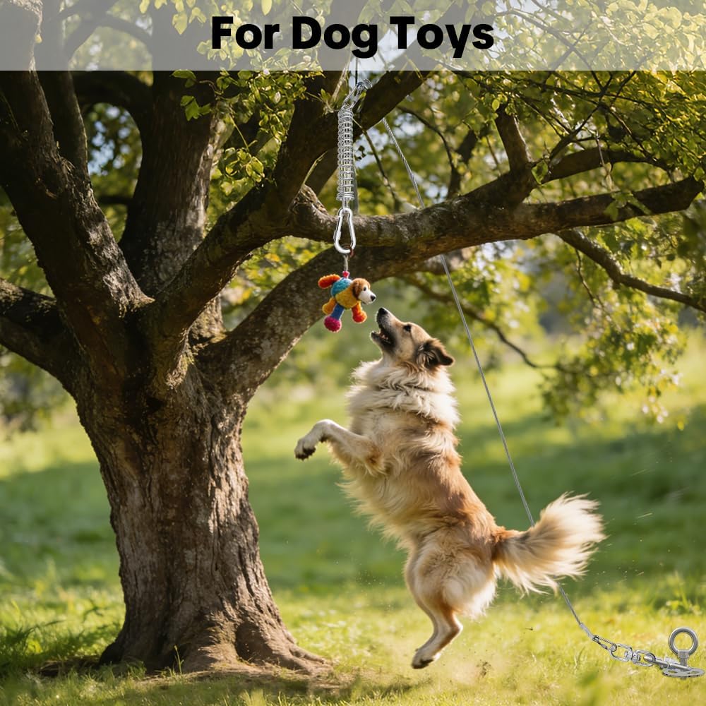 MOLANZ Dog Tie Out Spring Shock Absorber, Dog Lead