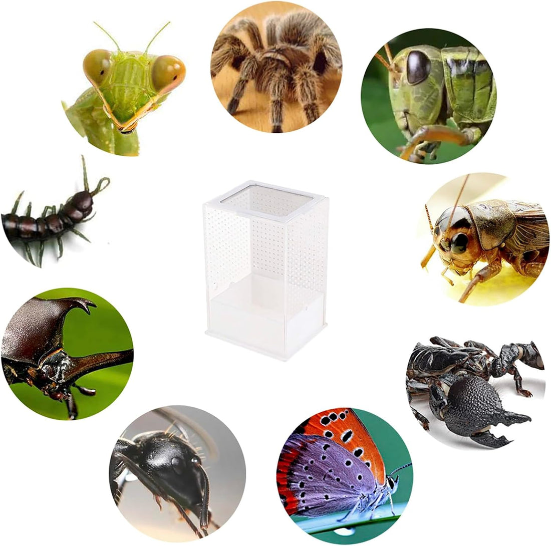 OMEM Reptile Breeding Box, Insect Incubator, for Orchid Mantis