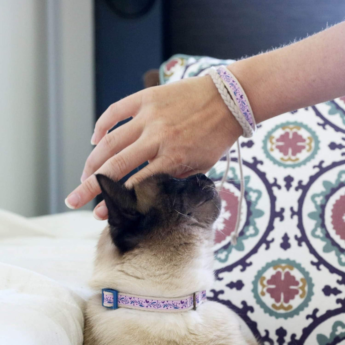 Pettsie Breakaway Cat Collar & Matching Friendship Bracelet