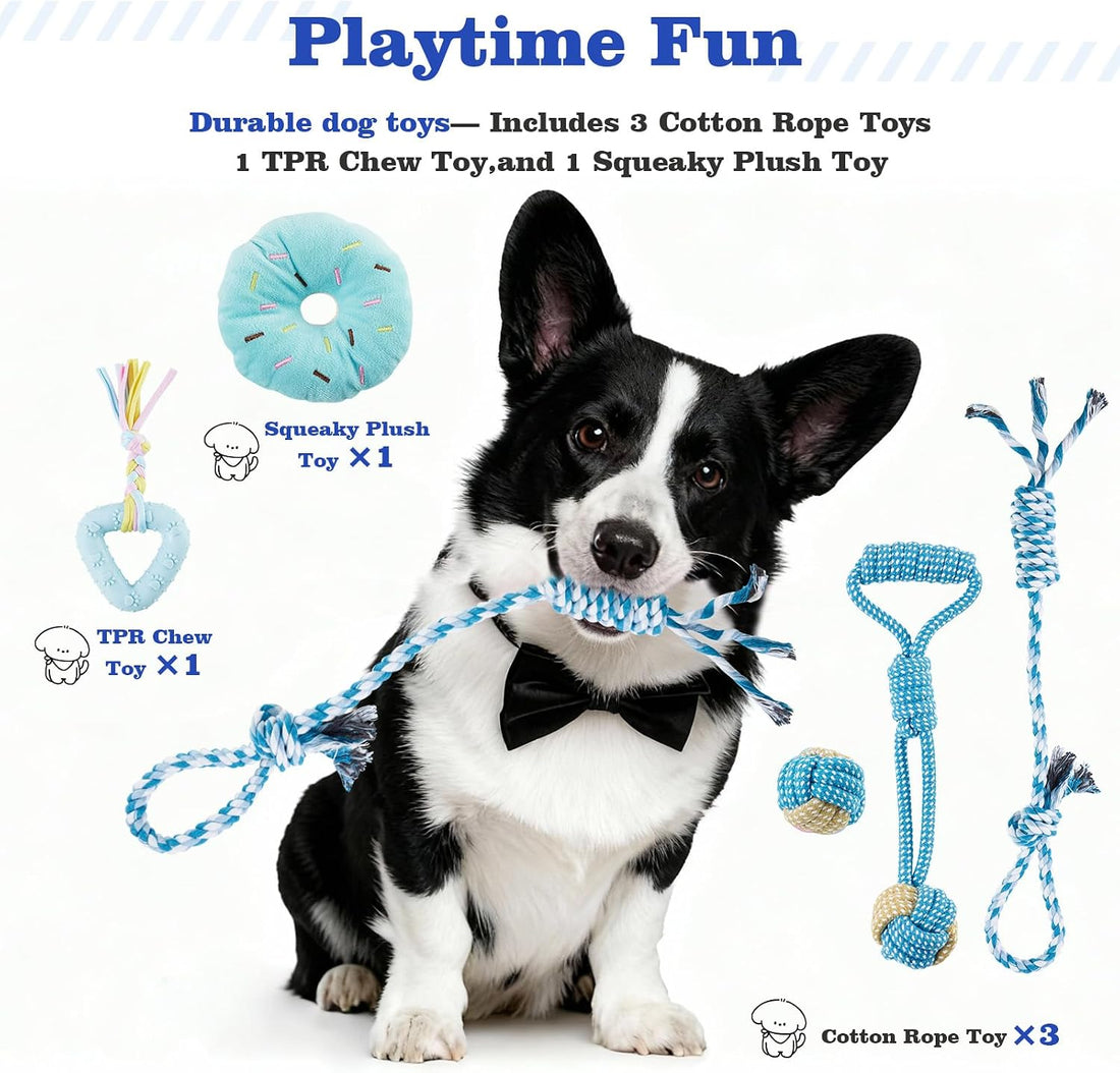 Puppy Supplies Starter Kit, Blue Puppy Essentials for Small Dogs