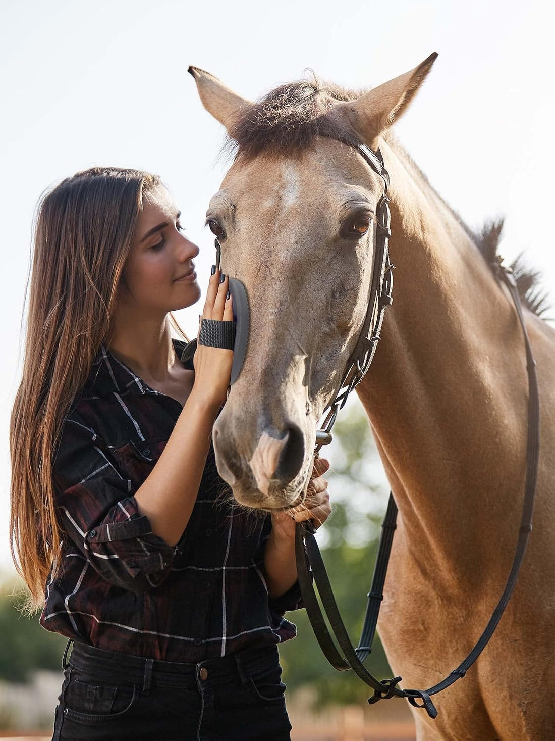 Horse Grooming Kit: Brushes, Storage Bag, Sweat Scraper, Mane Comb