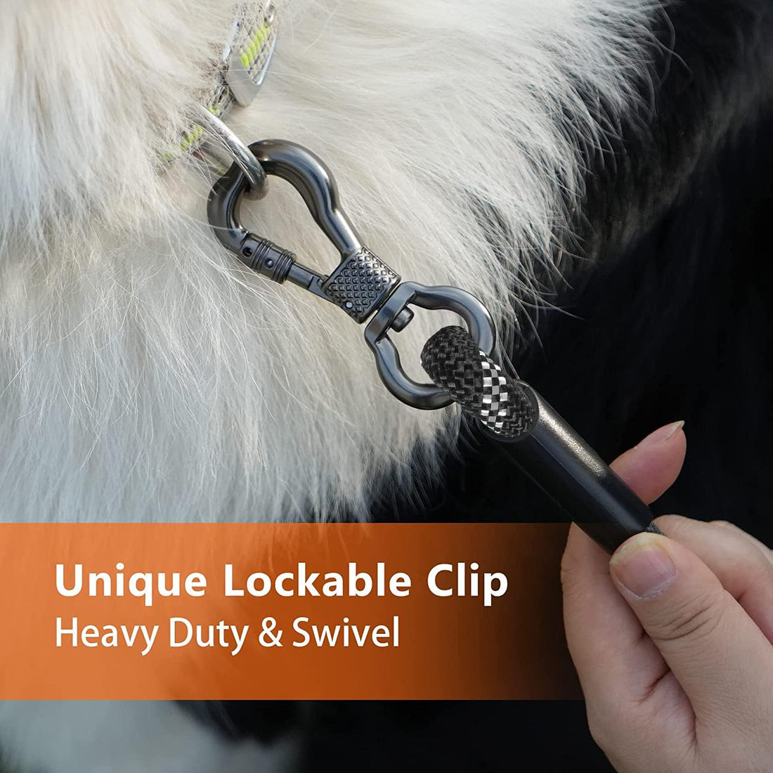 NTR 30 FT Dog Leash, Obedience Recall Training Agility Lead