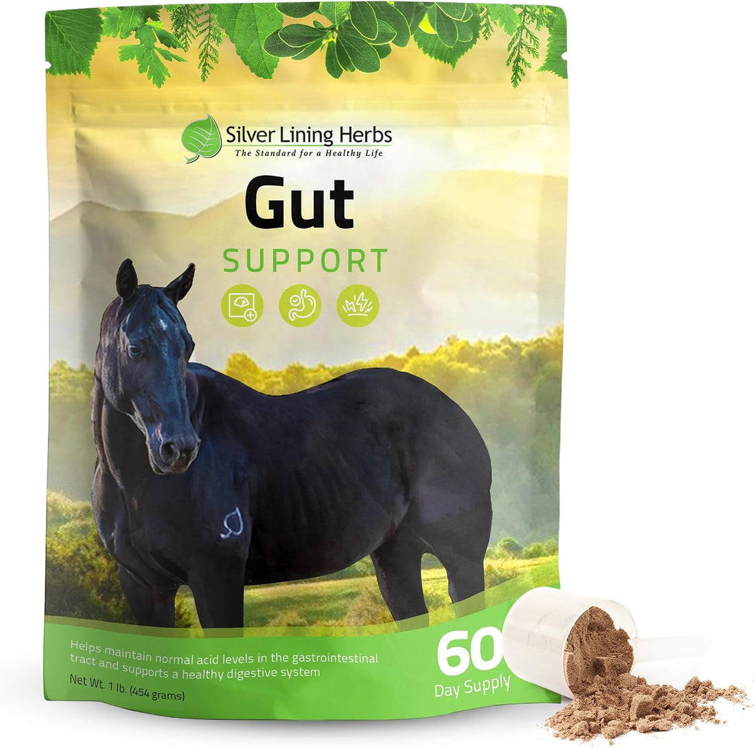 Silver Lining Herbs Gut Support Supplement for Horses - 1 lb