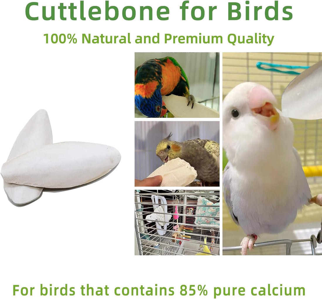 4.3"-4.7" Cuttlebone for Birds,Natural Cuttlefish Bone