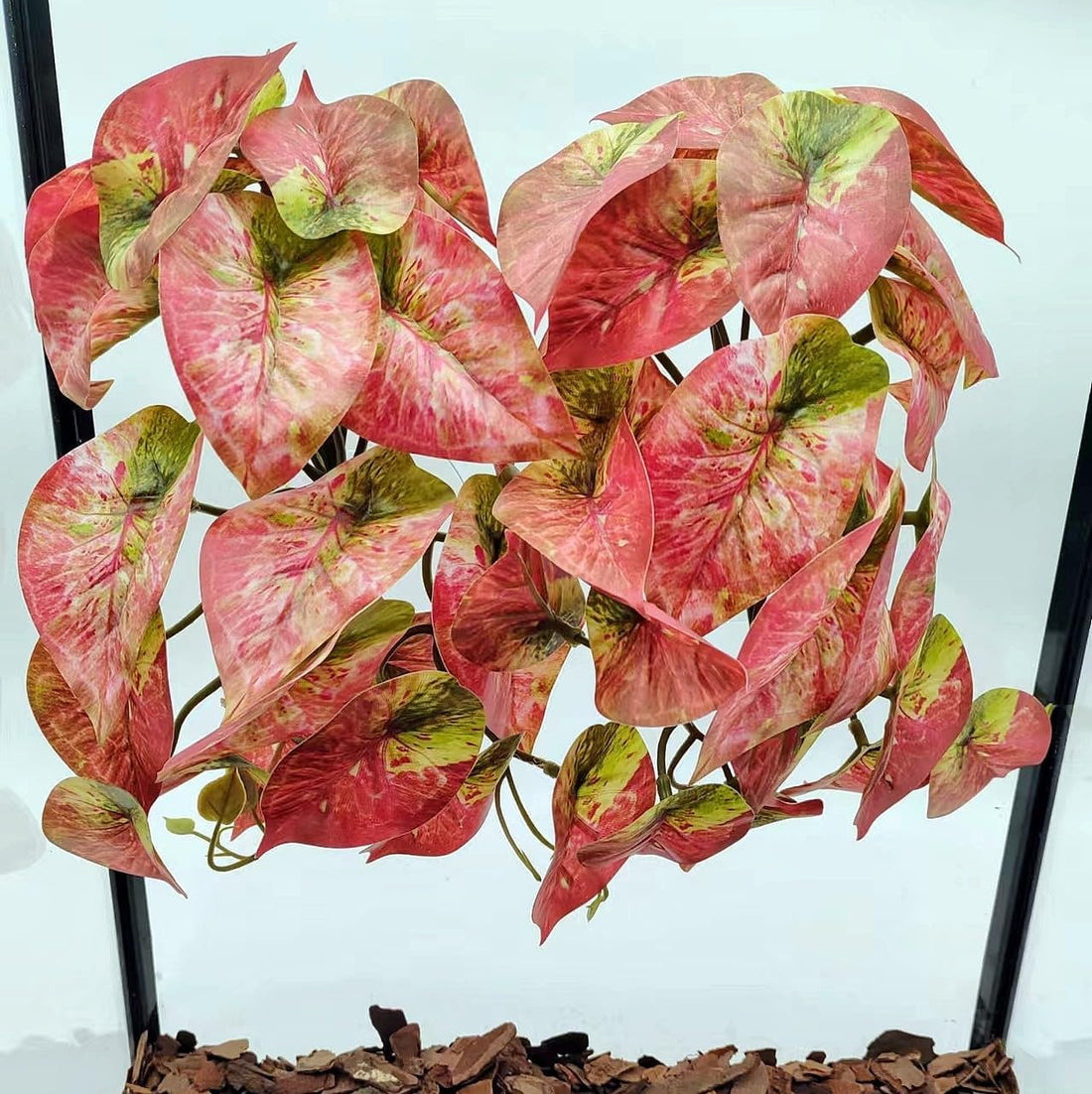 Fake Reptile Plants for Terrarium ,Tank Decor,Artificial Plant