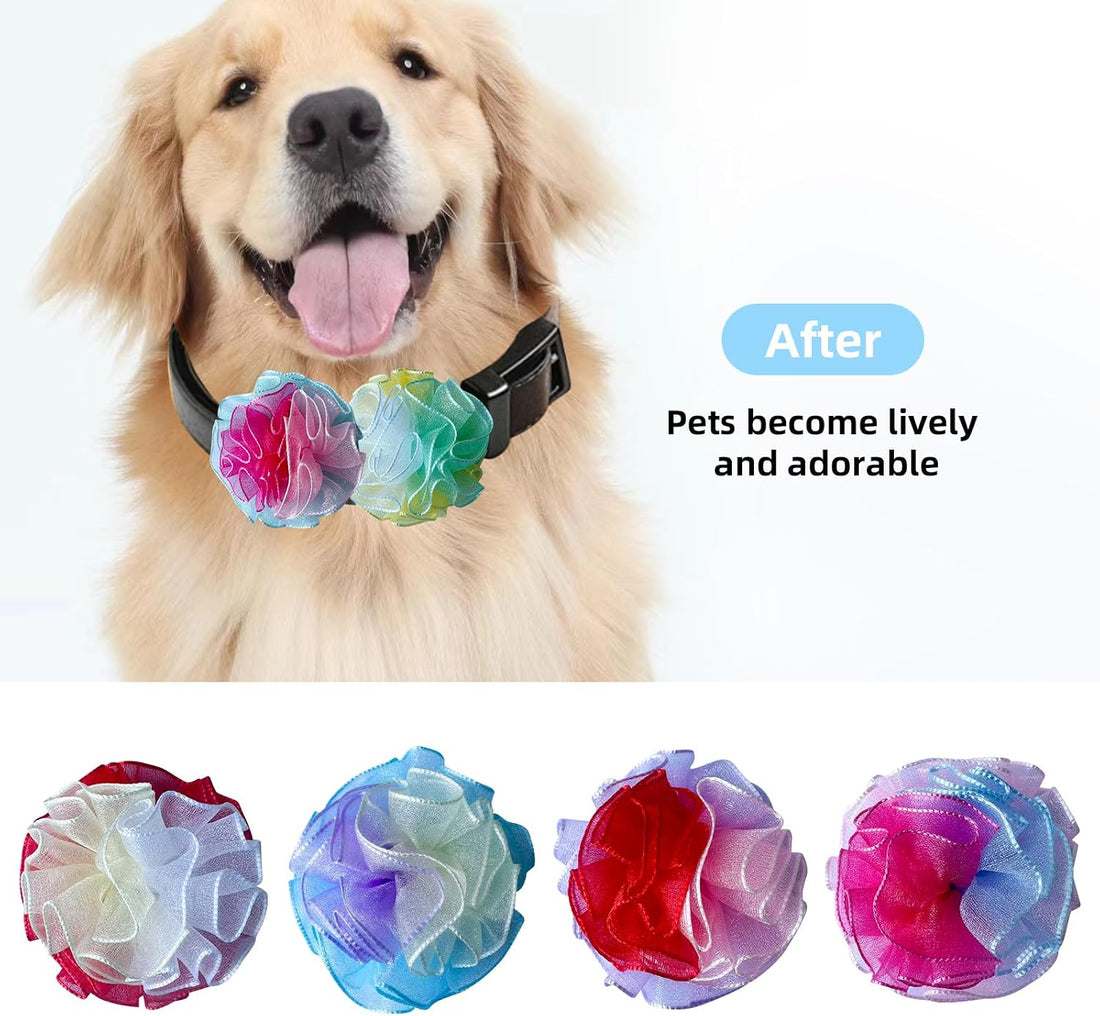 6 Pcs Dog Collar Accessories Slide-On Colorful Flower Charms