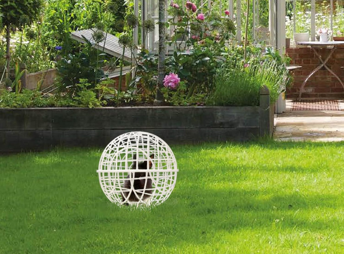 Rolling Small Animal Ball Cage, 11 Inch, 1 Pack