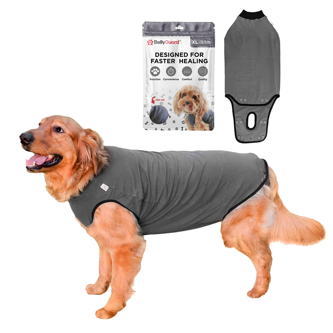BellyGuard Dog Surgery Recovery Suit, Dog Onesie for Post-Op Care