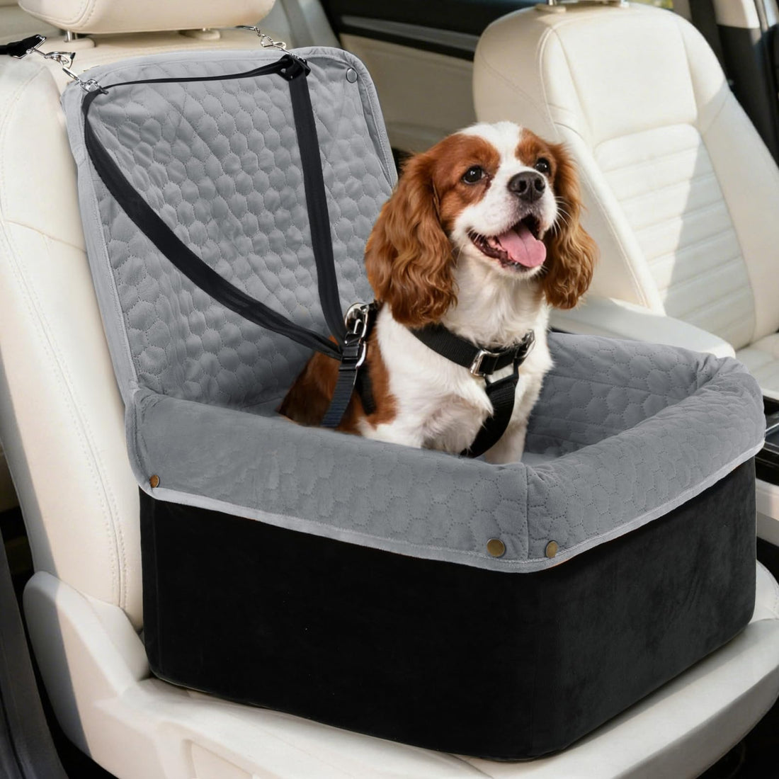 Wagora Dog Car Seat for Small Medium Dogs
