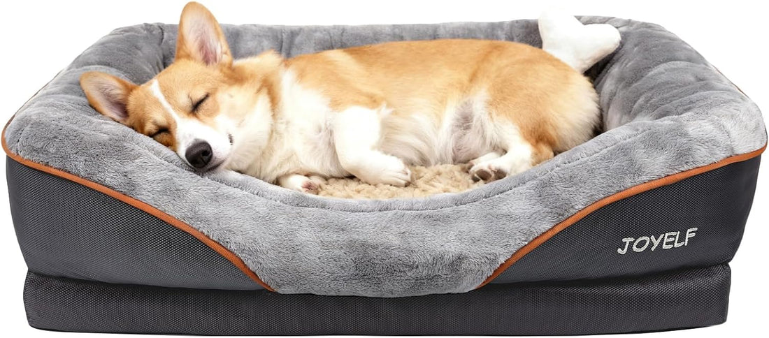 JOYELF Medium Memory Foam Dog Bed Orthopedic Dog Bed & Sofa