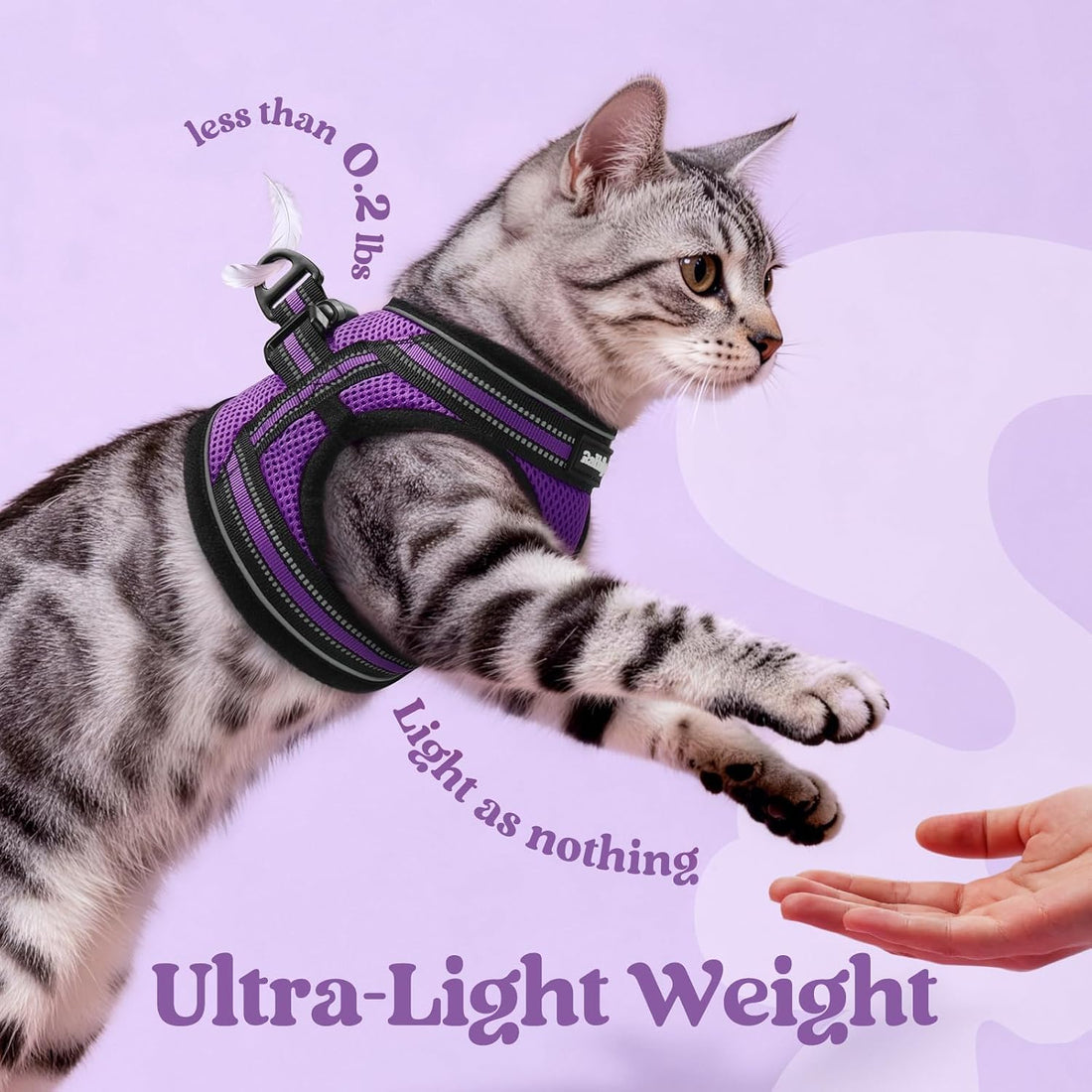 rabbitgoo Cat Harness and Leash