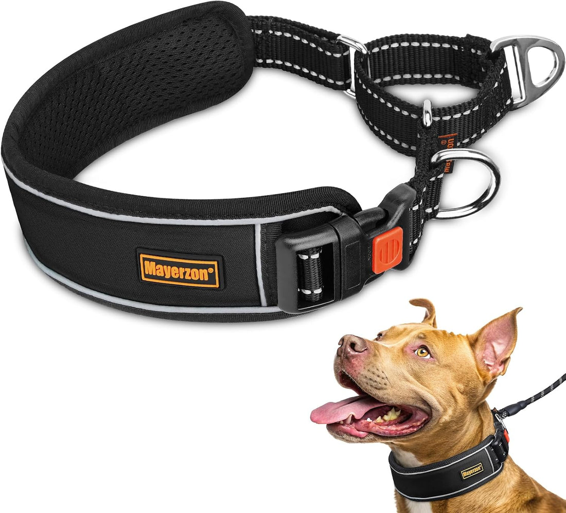 Mayerzon 2" Wide Martingale Collar for Large Dogs No Pull Dog Collar