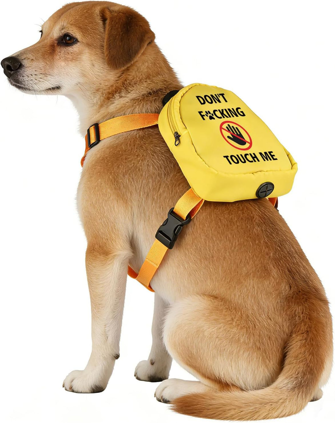 Funny Dog Slogan Travel Bag Don't F Touch Me Dog Backpack Dog Walking