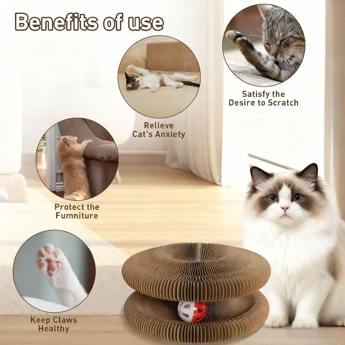 Cat Scratcher Toys for Indoor Cats