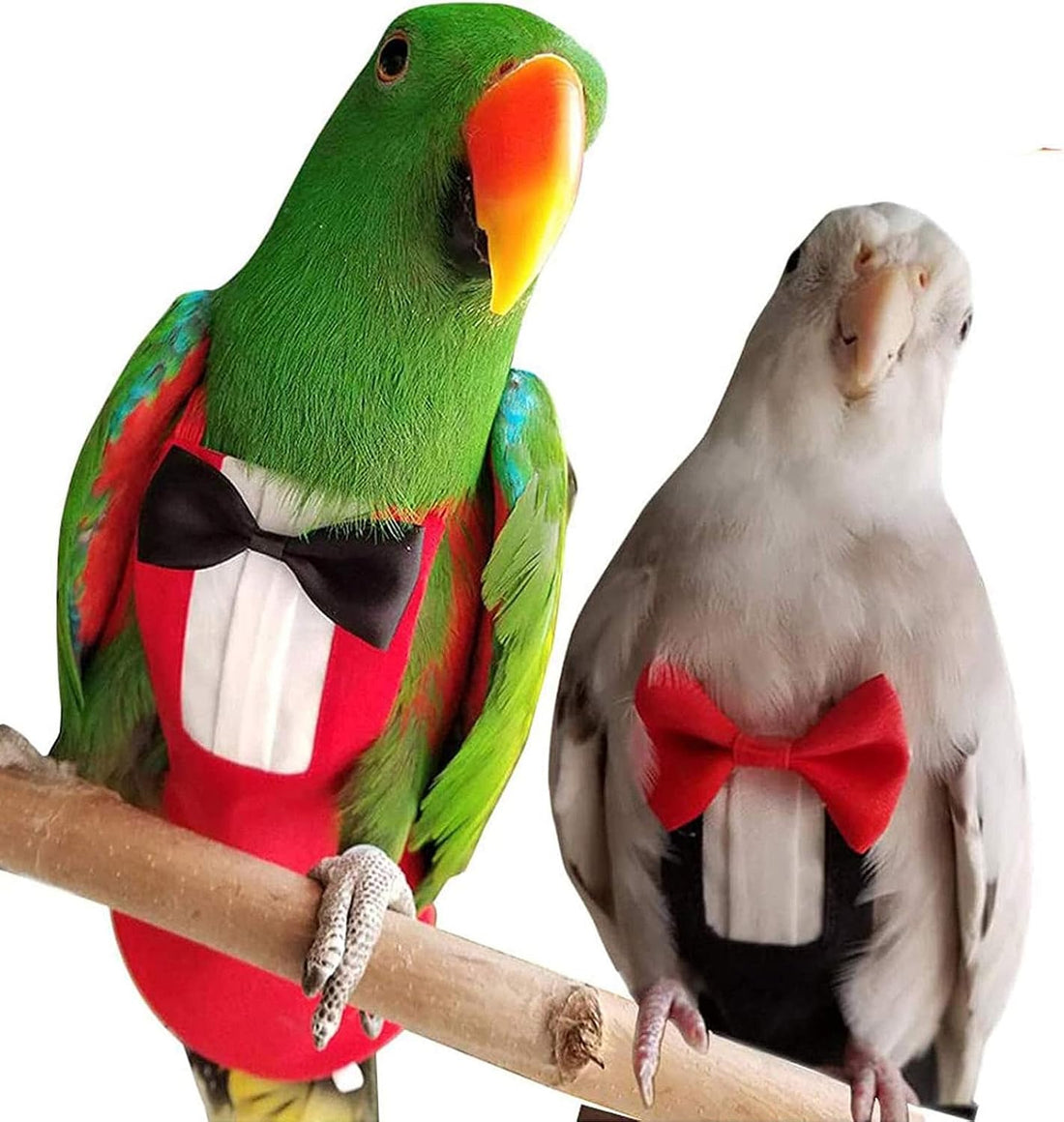 QBLEEV 2 Pack Bird Diapers, Reusable Cockatiel Tuxedo Flight Suite
