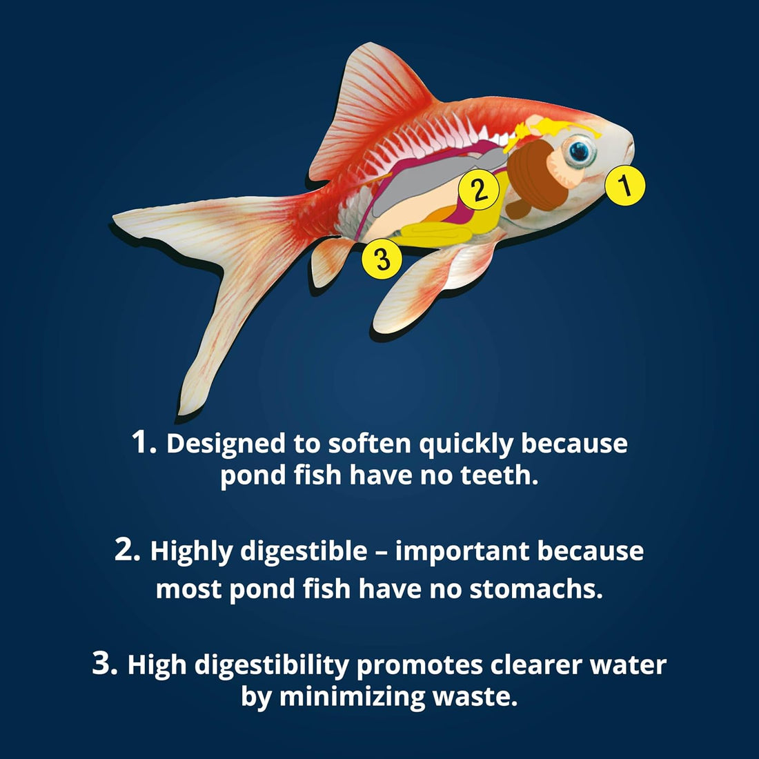 TetraPond Variety Blend, Pond Fish Food