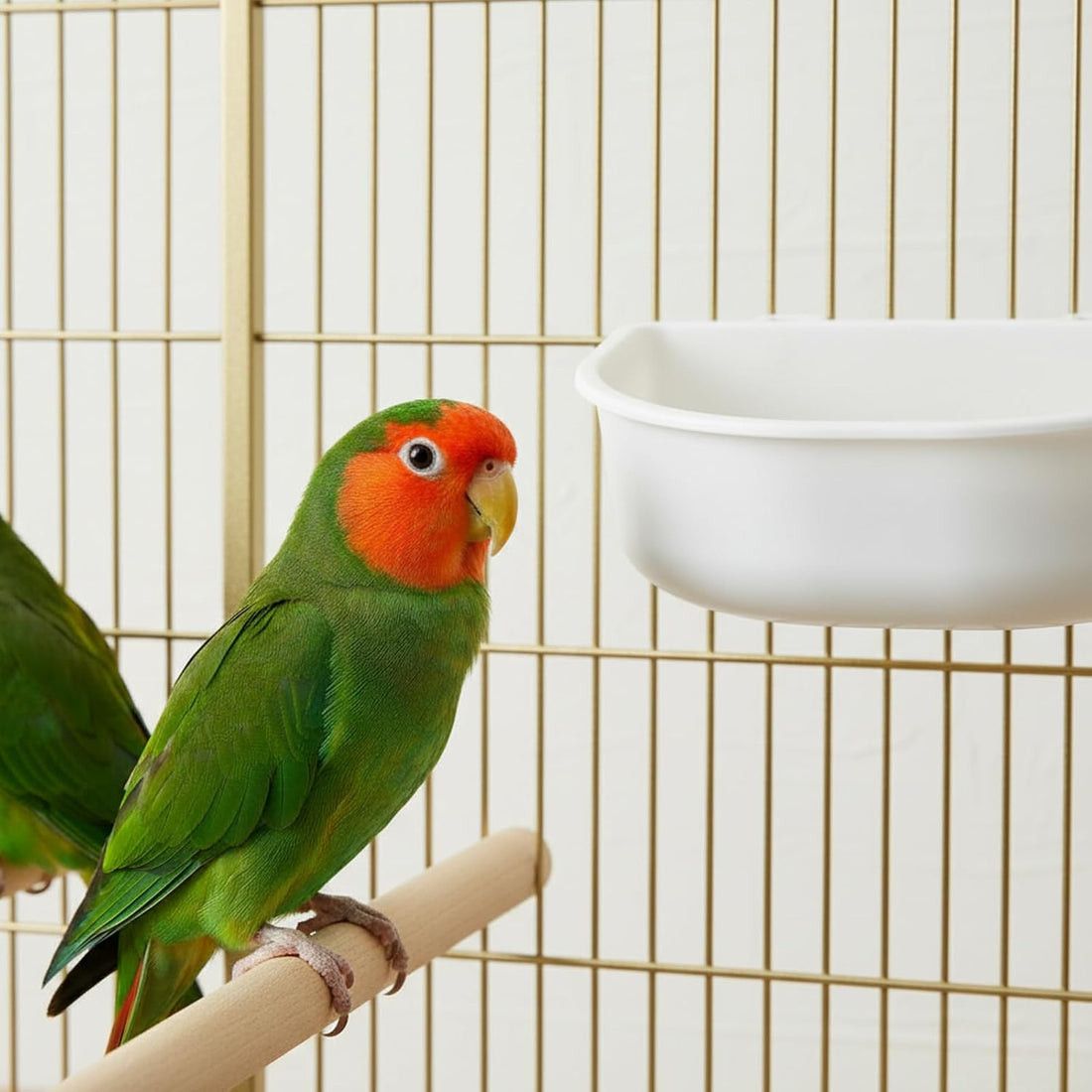2 Pcs Rabbit Food Bowl, Guinea Pig Food Dish Bird Feeding Dish Crate