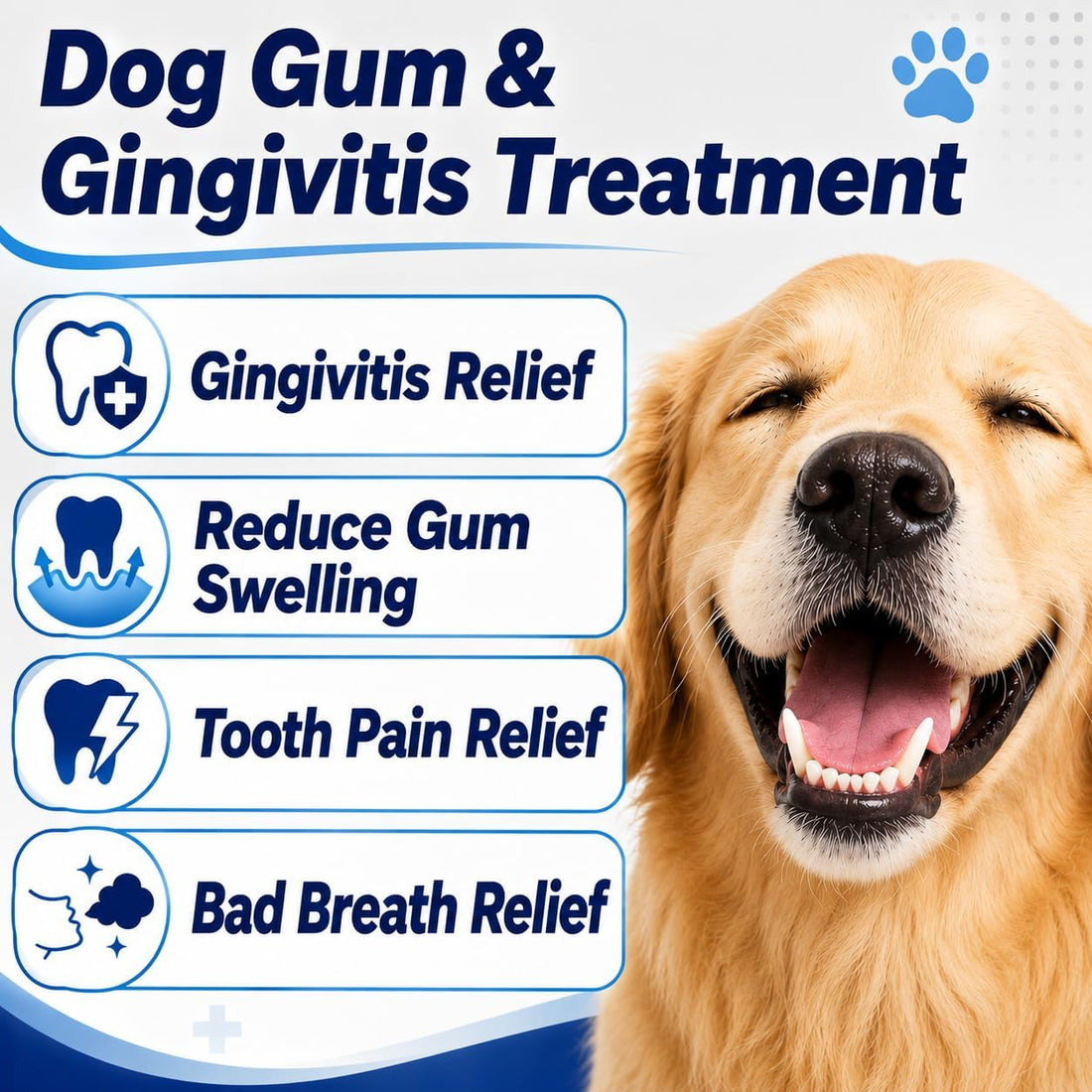 Dog Gingivitis Treatment, Gum Disease Treatment & Dog Tooth Pain