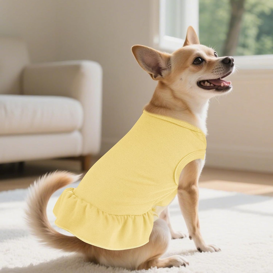 2 Pcs Dog Dress Cute Cat Skirt Solid Color Summer Clothes for Small