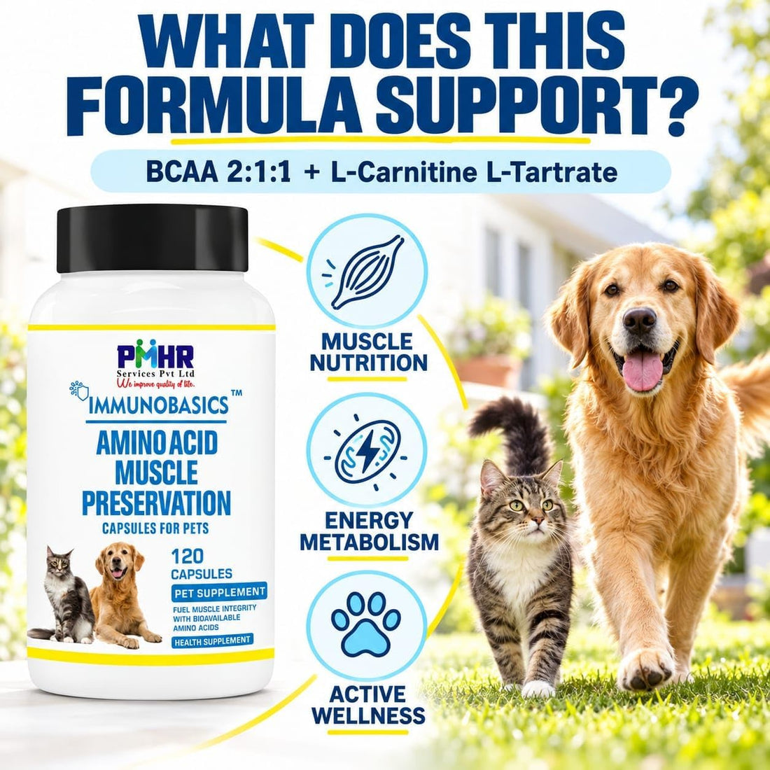 Amino Muscle Preservation Capsules for Dogs & Cats
