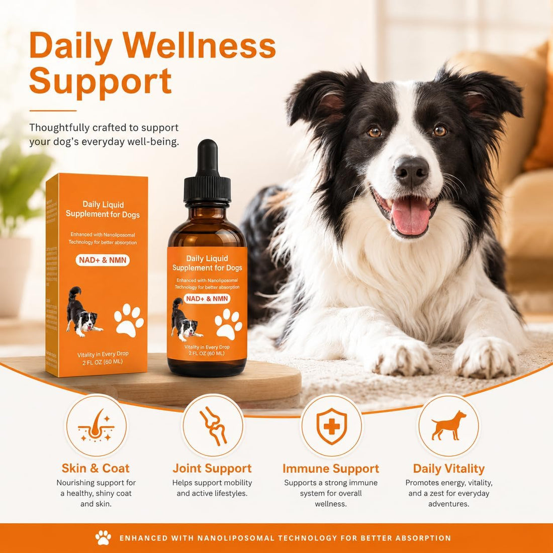 Dog Longevity Support Supplement with NMN, NAD+, CoQ10 & Resveratrol