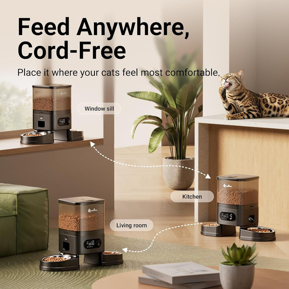 DownyPaws Automatic Cat Feeder 2 Cats
