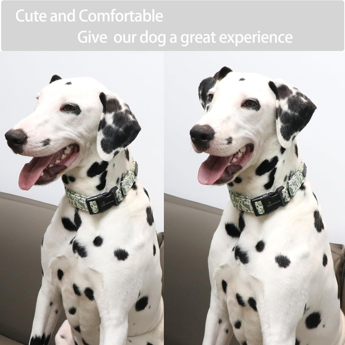 ARING PET Dinosaur Dog Collar-Cute Dog Collar for Small Dogs
