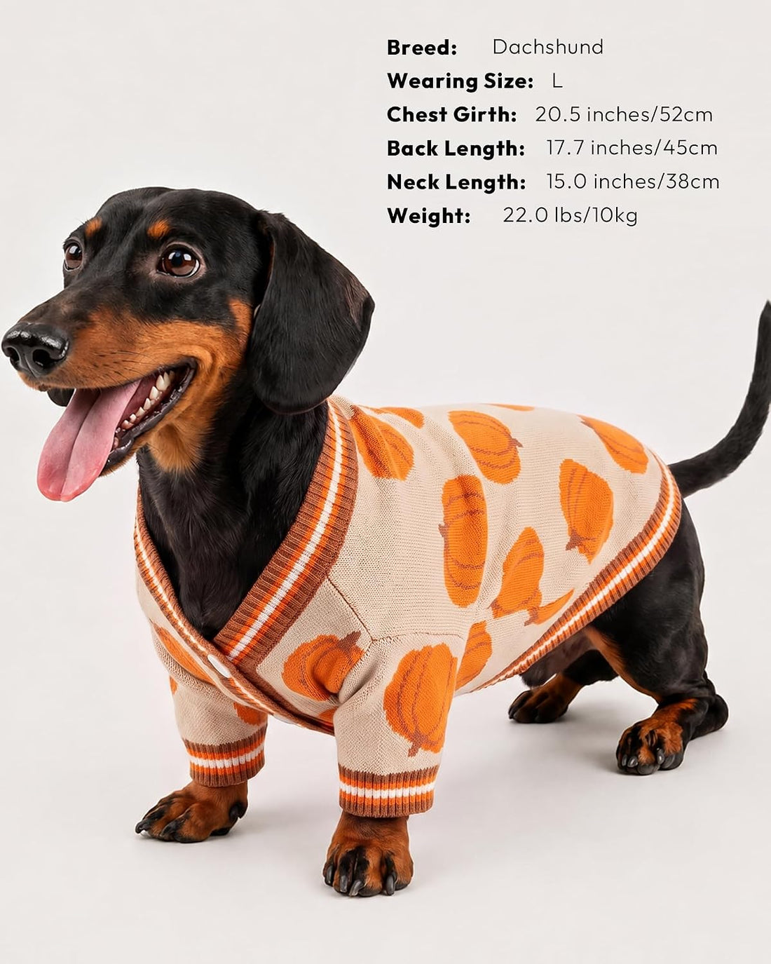 BAOBICUTEDog Sweaters for Small Dogs Cute Dog Clothes for Boy Girl