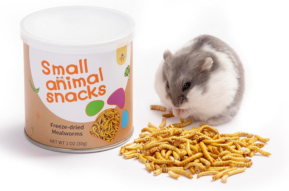 Niteangel Small Animal Snack & Treats - Dried Worms & No Additive