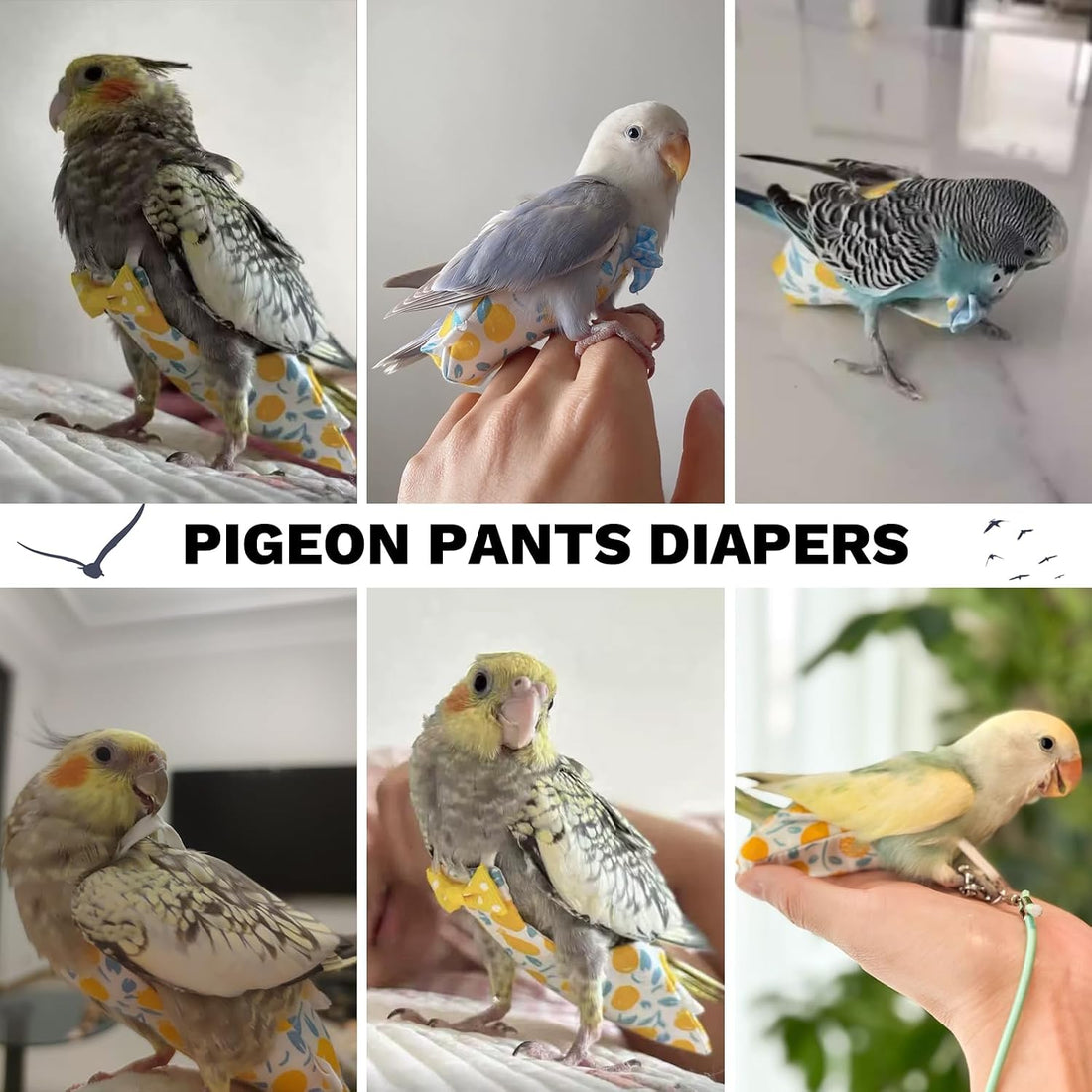QBLEEV Bird Diapers, Reusable Cockatiel Flight Suit with Adjustable