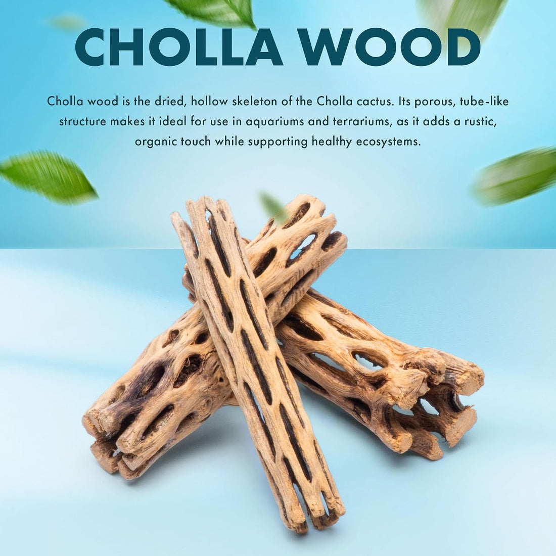 SubstrateSource Natural Cholla Wood - 3PC
