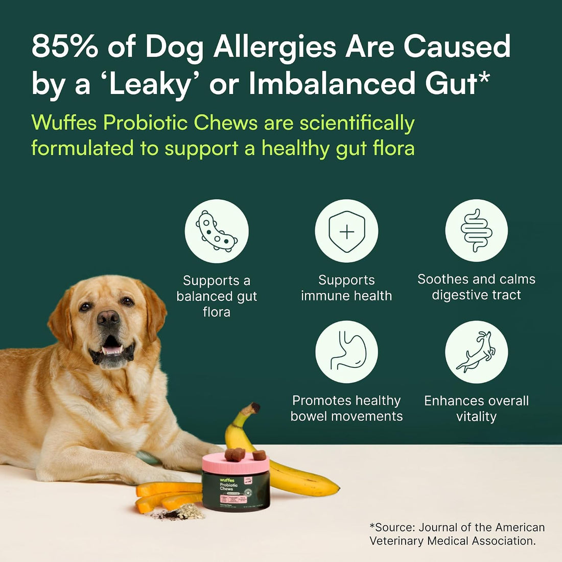 Wuffes Daily Probiotic for Dogs - Supports Digestive Health