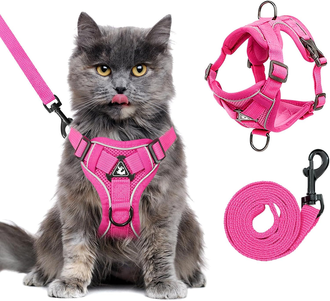 XL Cat Harness Escape Proof for Heavy Cats Adjustable for Extra Large