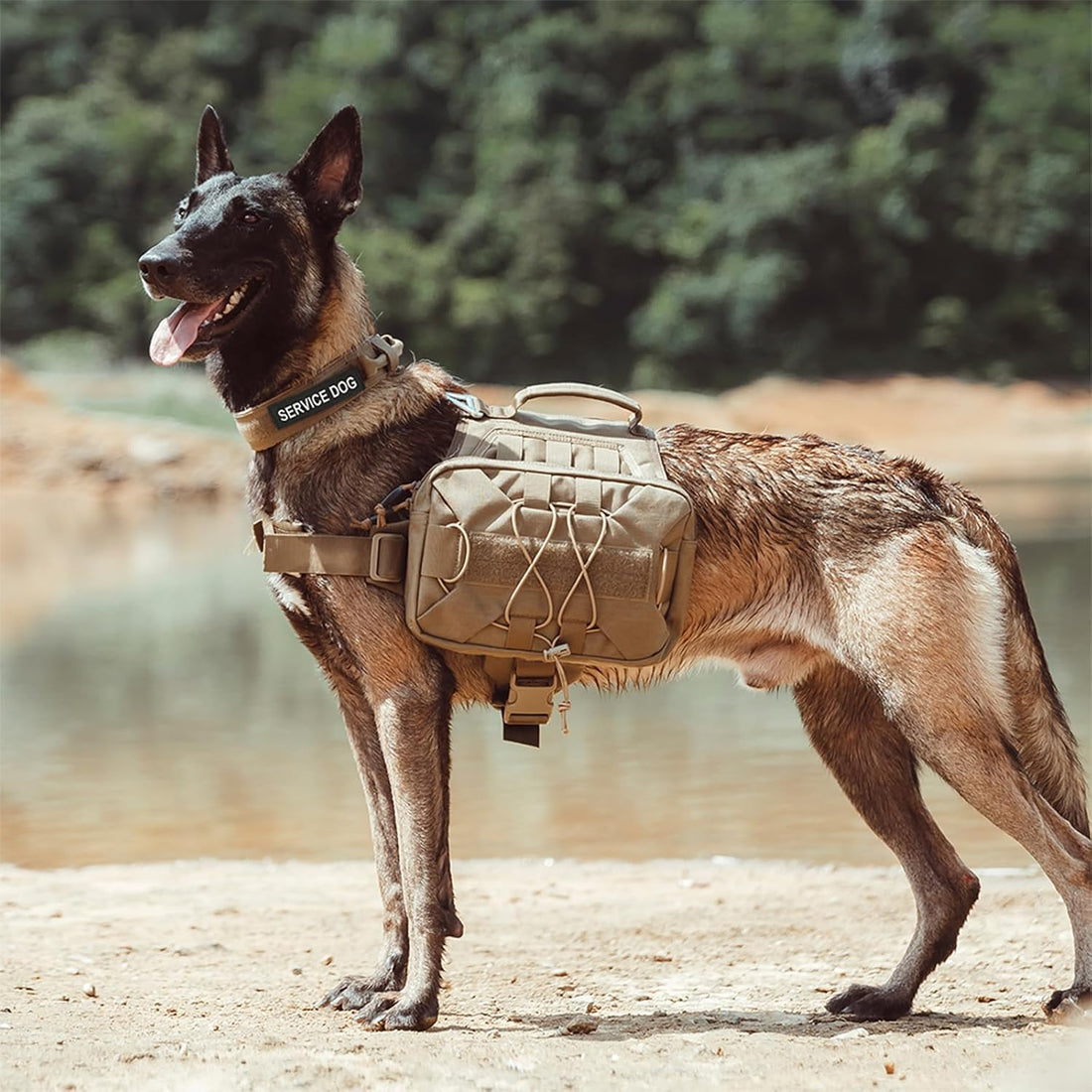 EXCELLENT ELITE SPANKER Nylon Dog Backpack with 2 Side Pockets