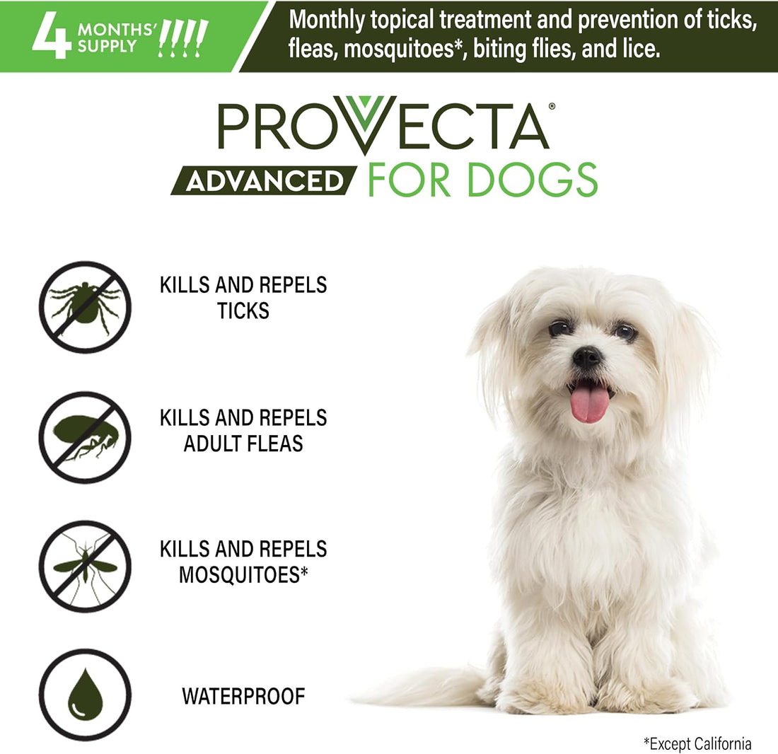Provecta 4 Doses Advanced for Dogs