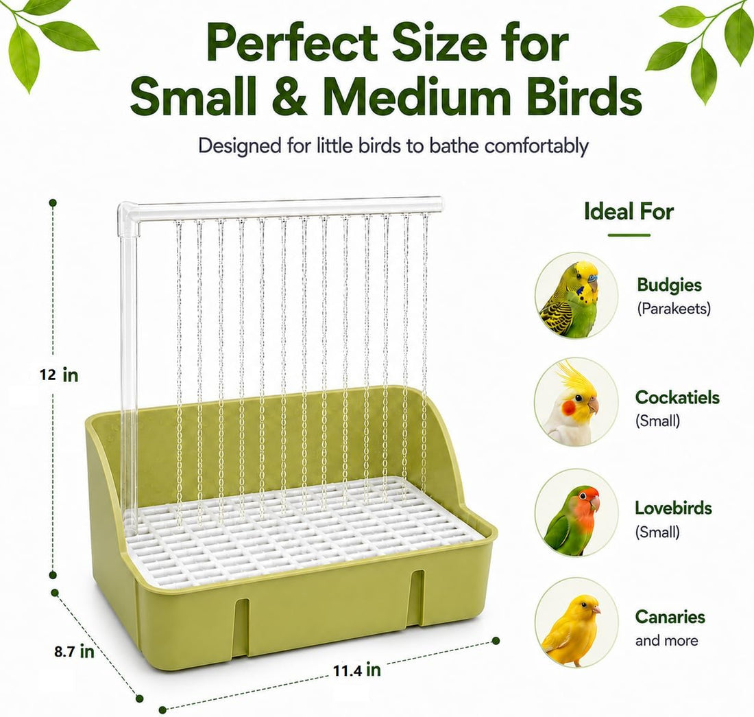 Automatic Bird Bath with Pump