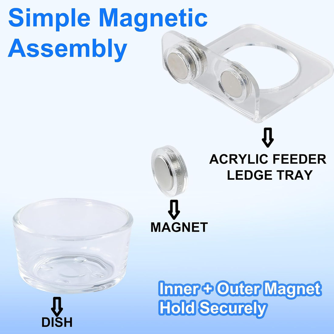 Magnetic Reptile Ledge - Acrylic Feeding Platform for Geckos & Spiders