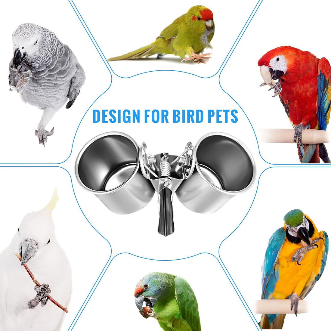 Tioncy 2 Pcs Stainless Steel Bird Bowls
