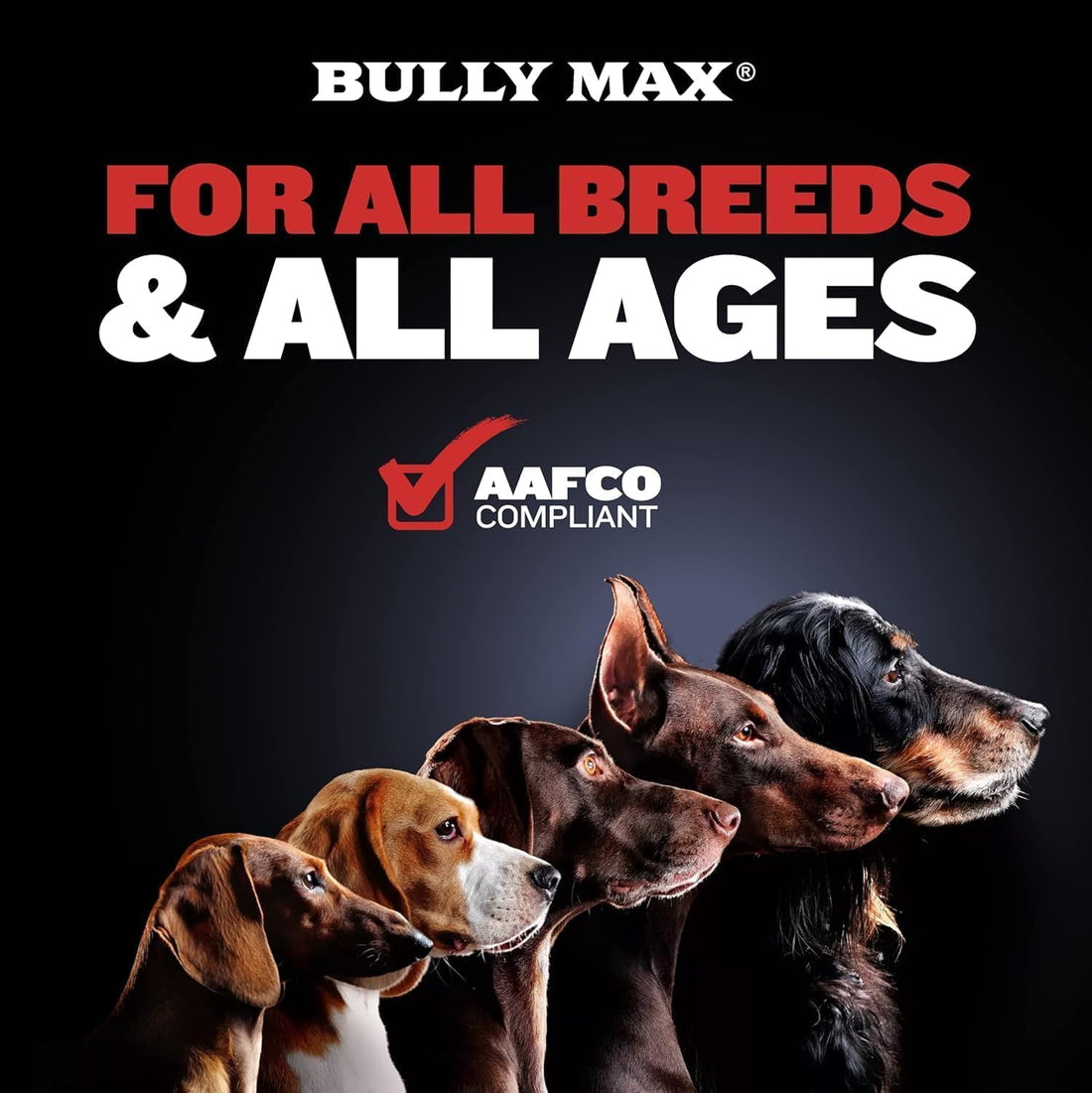 Bully Max Omega-3 Salmon Oil for Dogs + 2-in-1 Muscle Gain Power Tabs