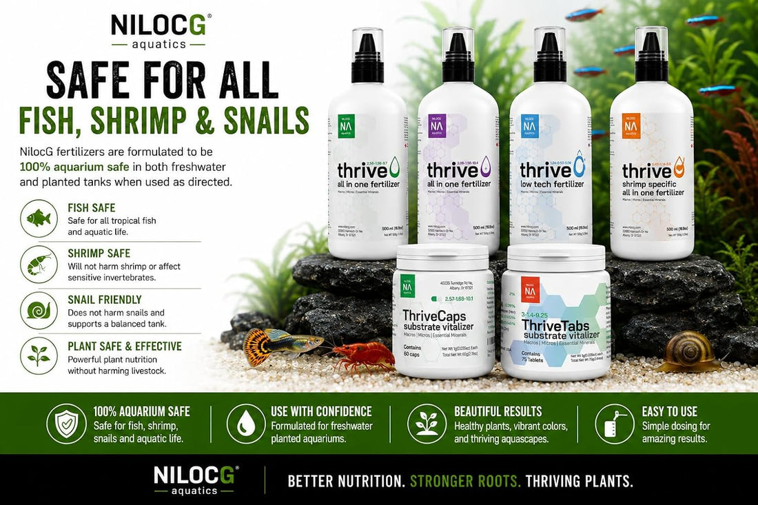 NilocG ThriveCaps Aquarium Root Fertilizer for Planted Tanks, 60 Caps