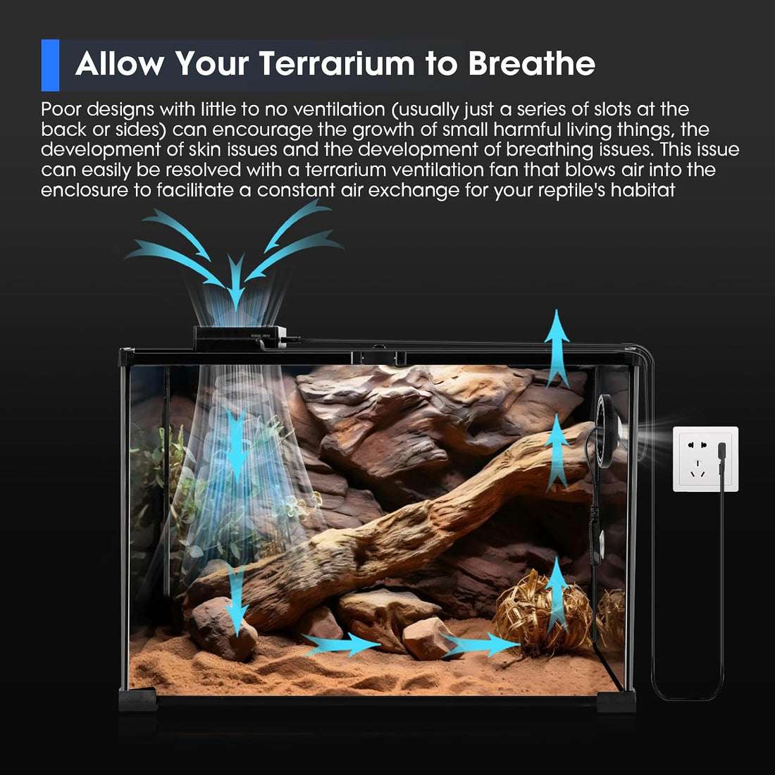 Reptile Terrarium Thermometer Hygrometer with Dehumidifier