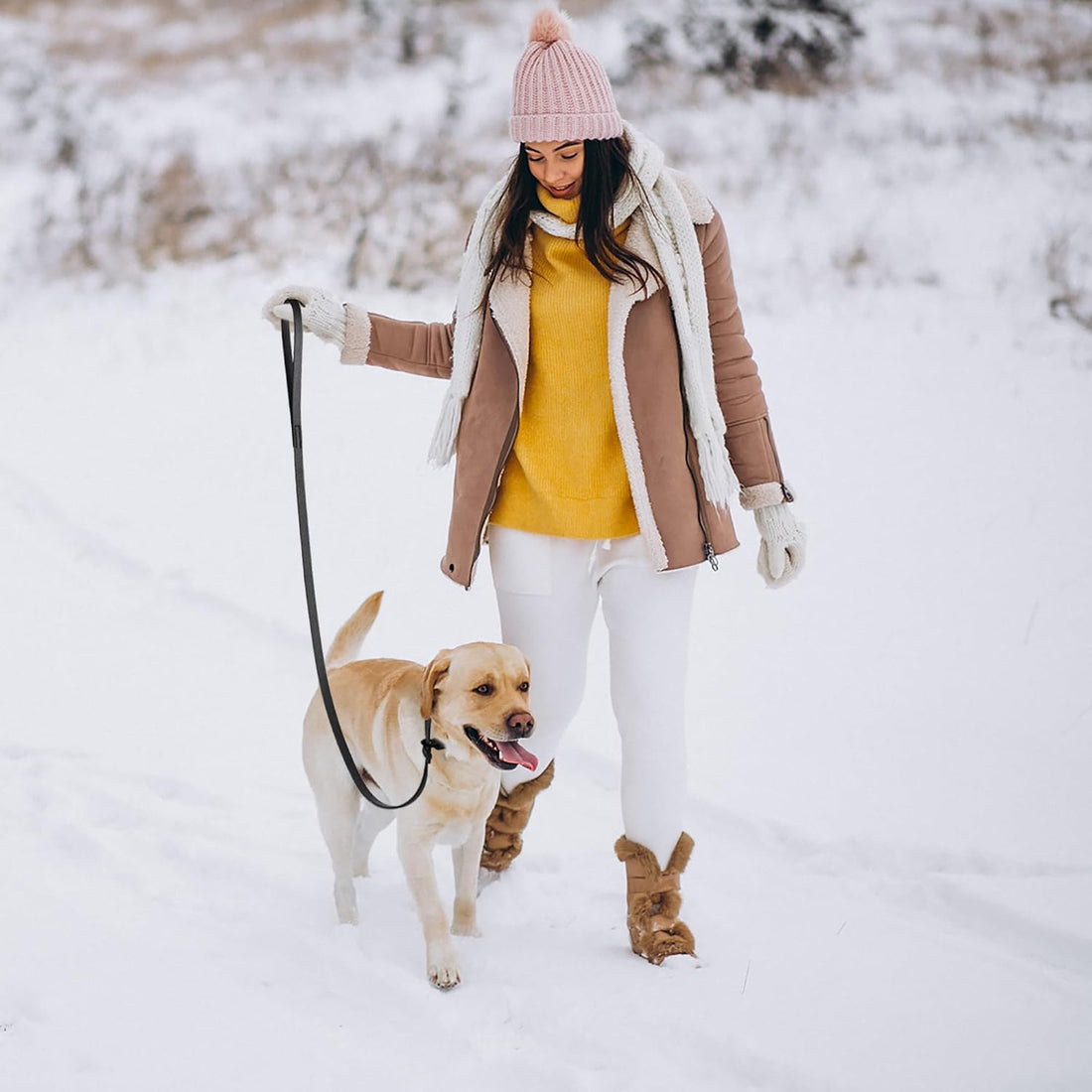 Dogline Biothane Slip Dog Leash - for Small, Medium and Large Dogs