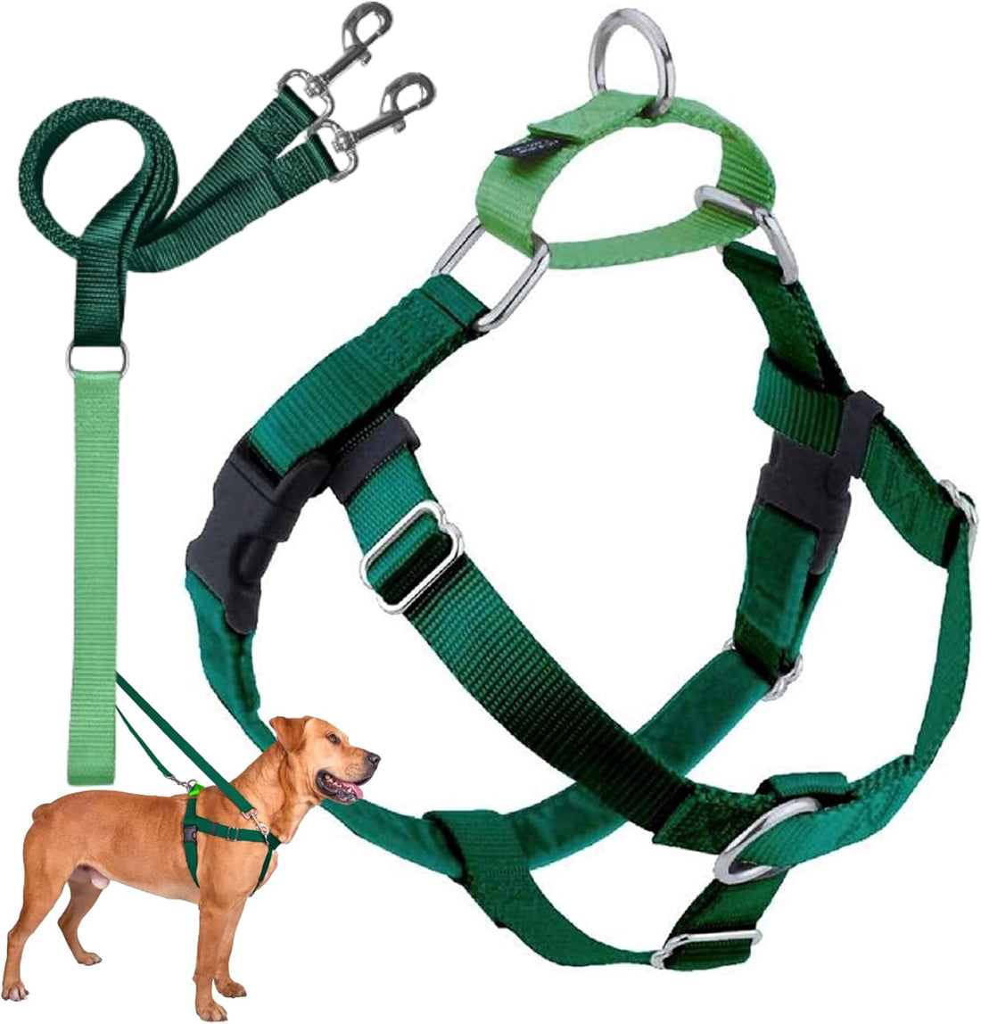 2 Hounds Design Freedom No Pull Dog Harness and Leash, 1" LG