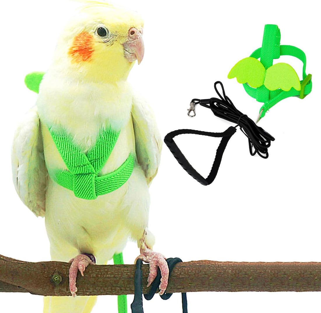 Dnoifne Parrot Harness and Leash, Adjustable Training Design Anti-Bite