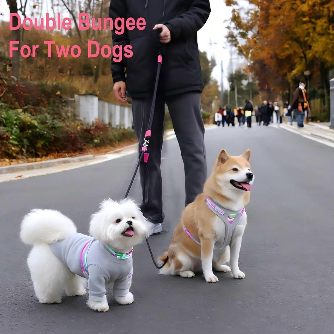 Double Dog Leash for Two Dogs,Dual Hands Free Dog Leashes,360 Swivel