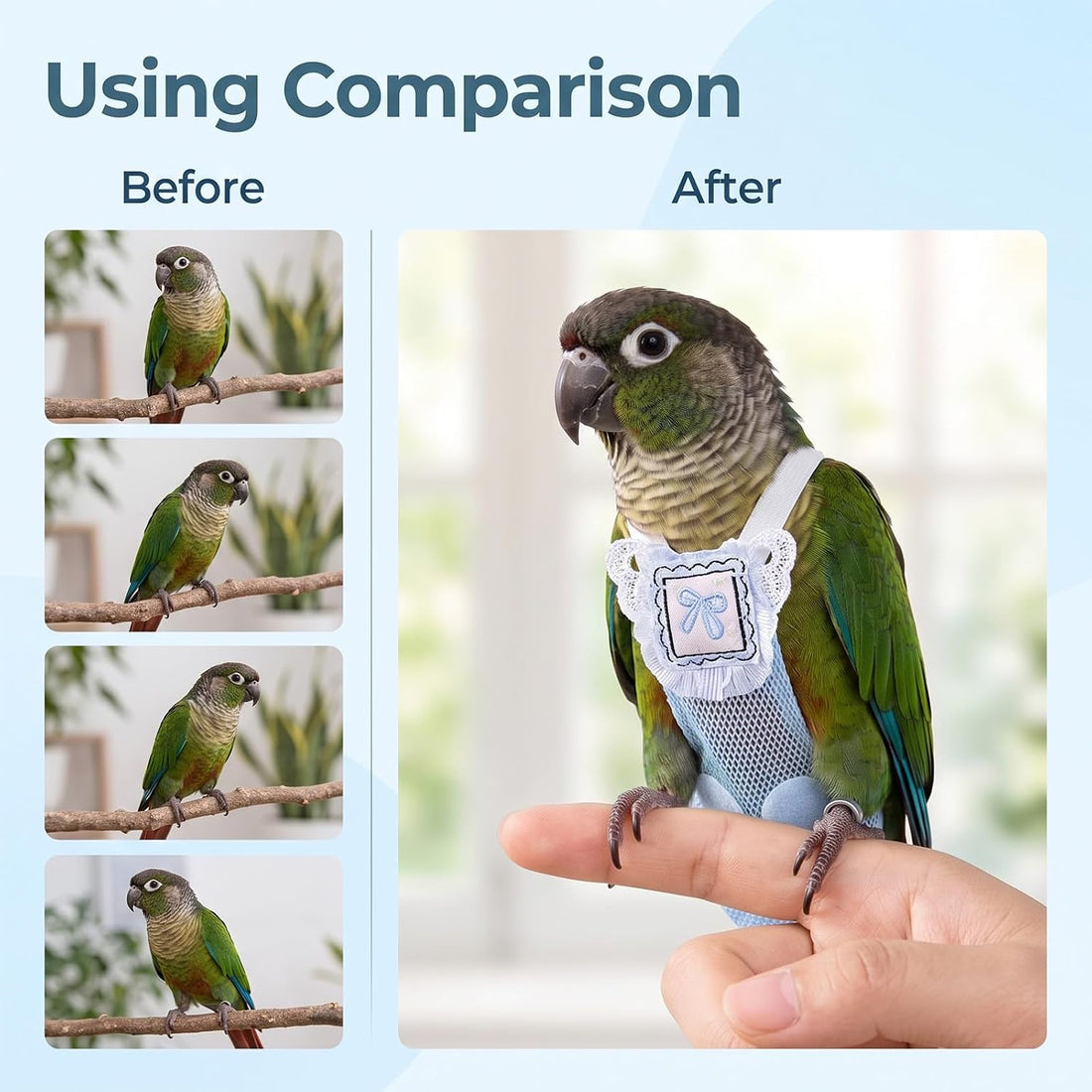 Bird Diaper with Leash &10Pcs Diapers Replacement, Breathable Mash